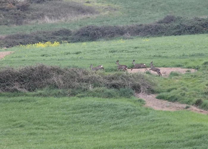Y Penarronda Playa Castropol